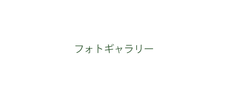 フォトギャラリー